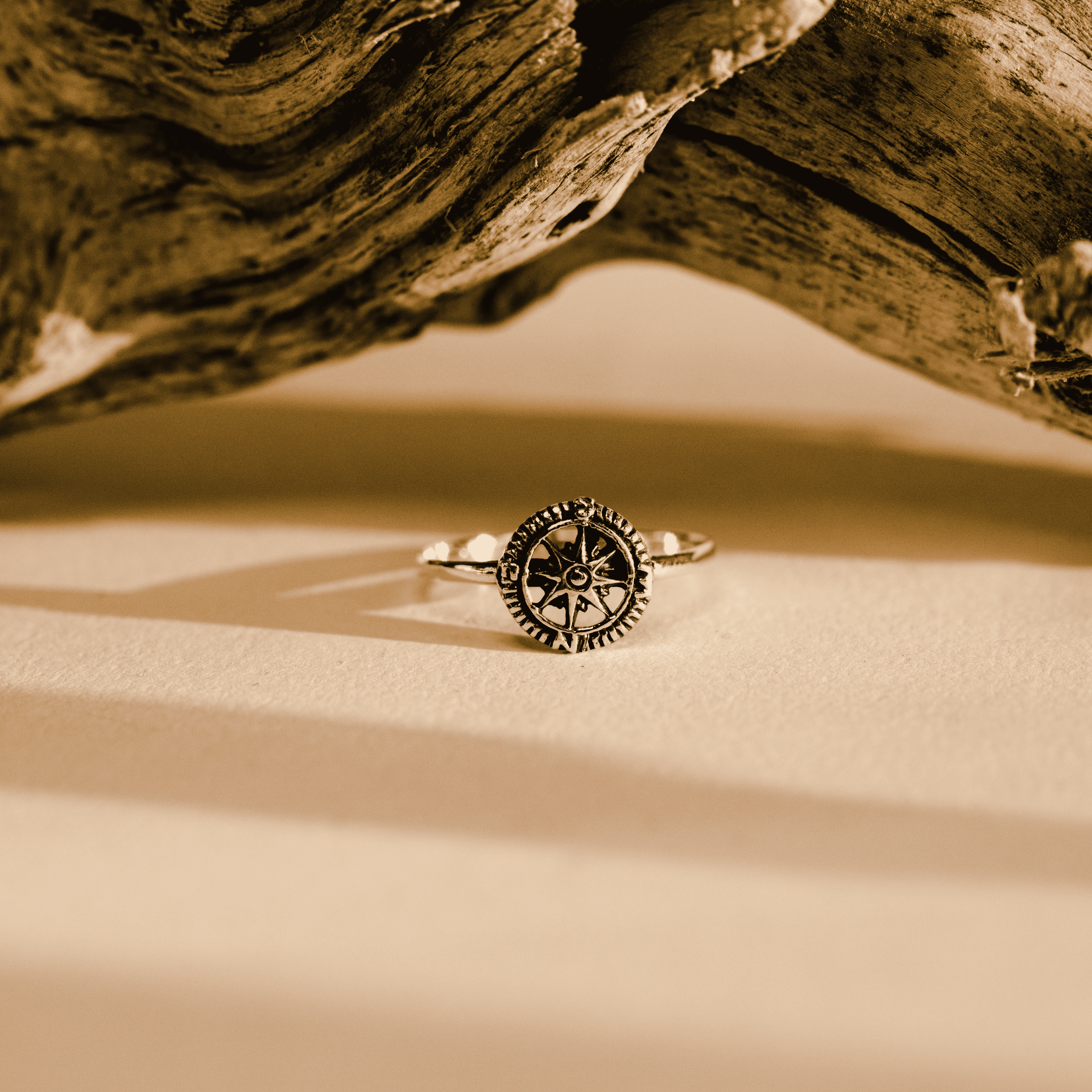 COMPASS SPARKLE RING